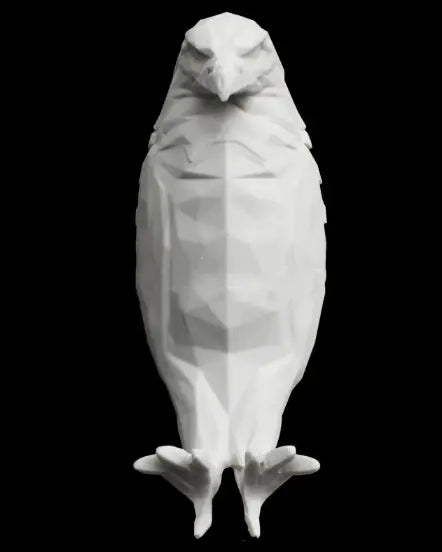 Eagle wall lamp indoor magnetic suction（private listing U2792714）