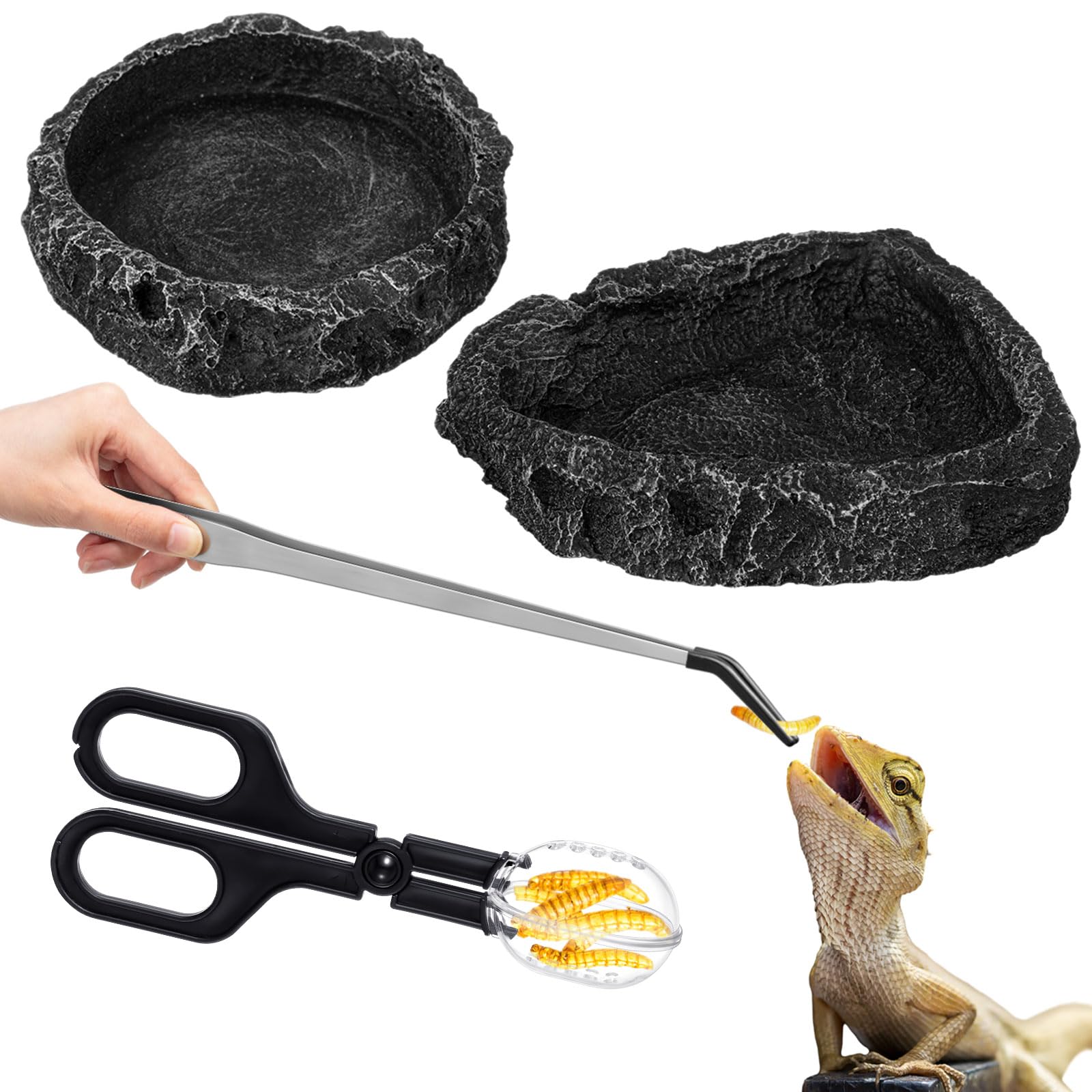 Jingmore 4 Pcs Bearded Dragon Food Bowl Set Reptile Snake Feeding Accessories Stainless Steel Reptile Feeding Tongs with Rubber Reptile Feeding Clamp for Bearded Dragon Lizard