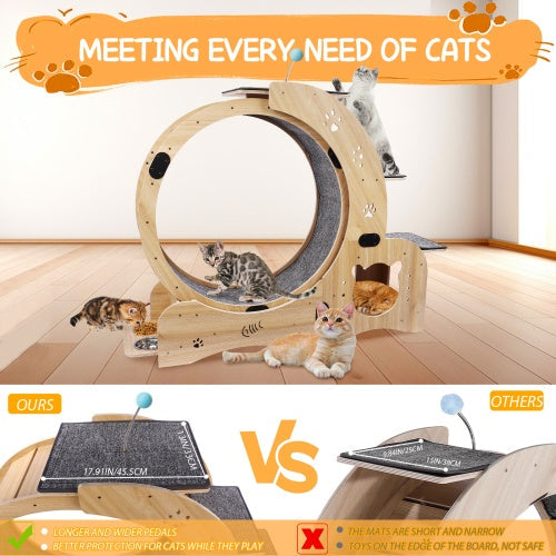 Cat Wheel 6-in-1 Cat Fitness Wheel