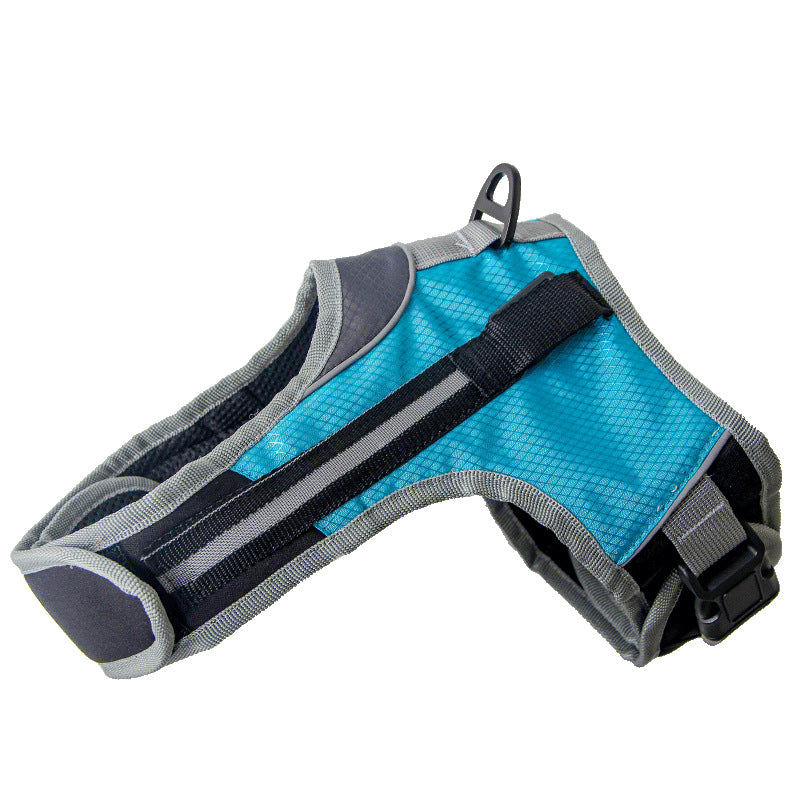 Pet Dog Leash for Walking and Training