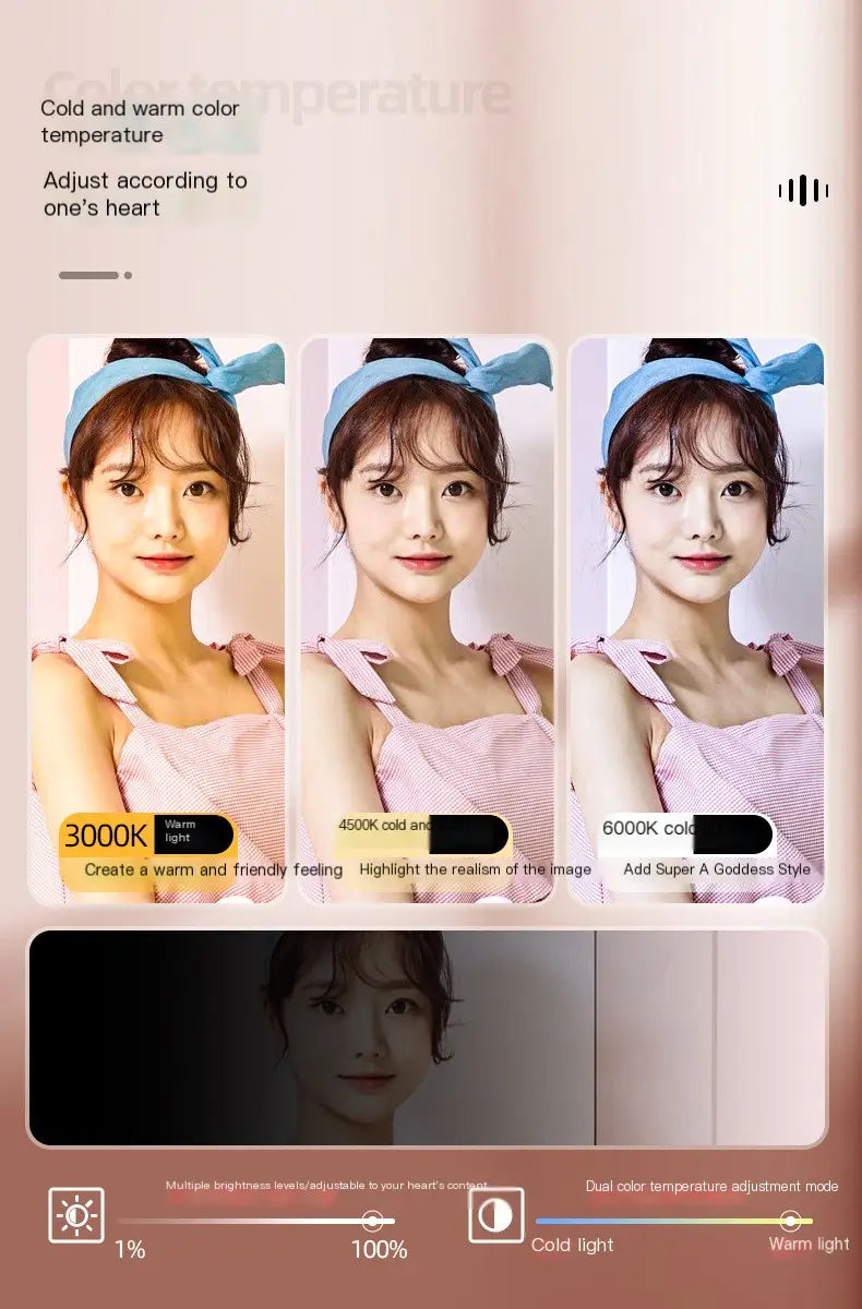 Video Conference Fill Light