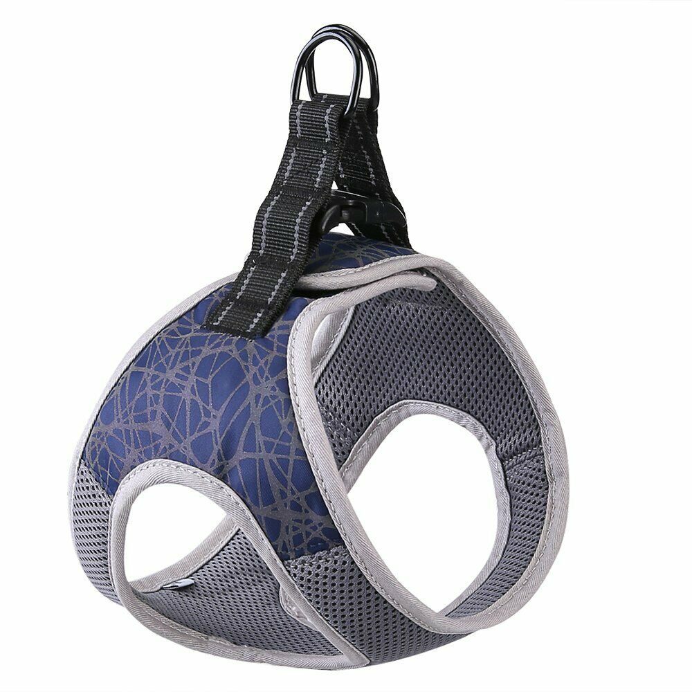 2020 Dog Harness Leash for Small Breeds, Reflective Nylon
