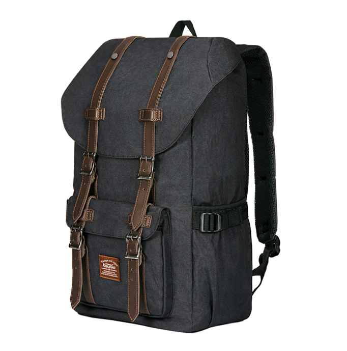 Stylish Large Capacity Backpack for Students and Travel