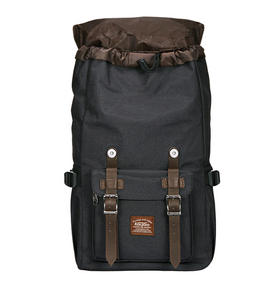 Stylish Large Capacity Backpack for Students and Travel