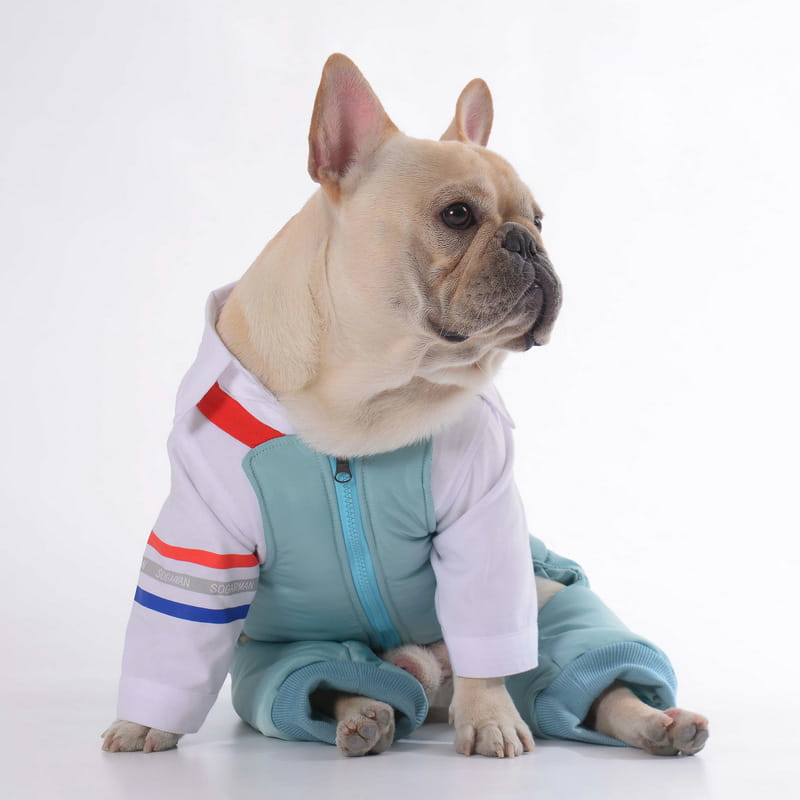 Cotton Pants for Teddy Dog Pets
