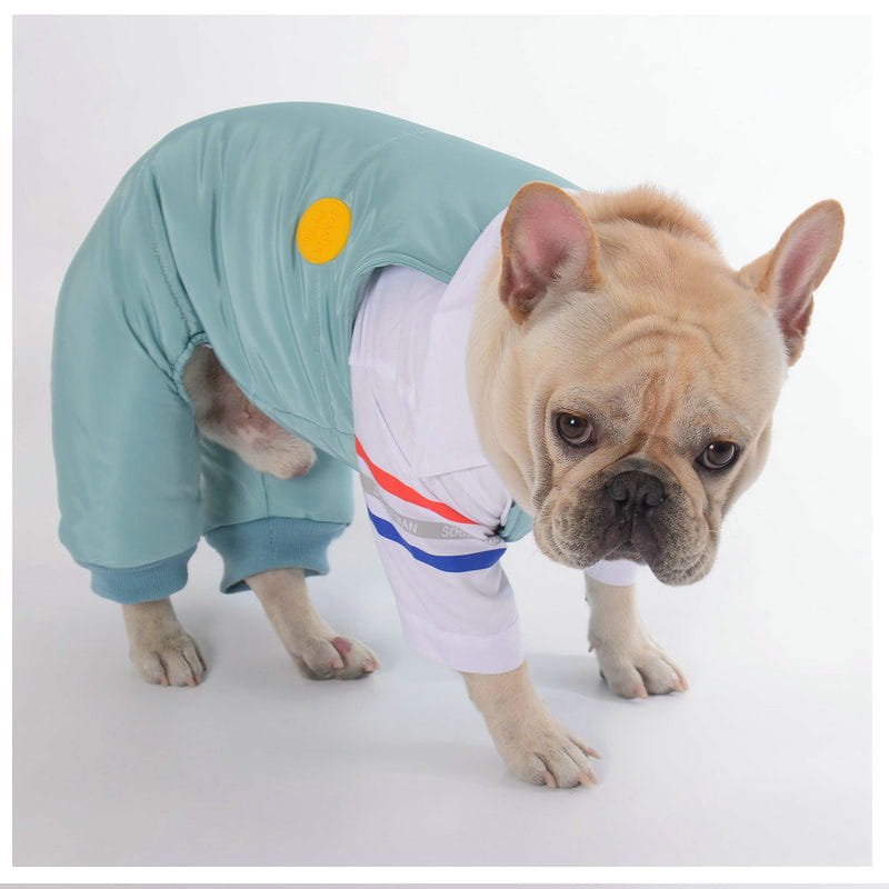 Cotton Pants for Teddy Dog Pets