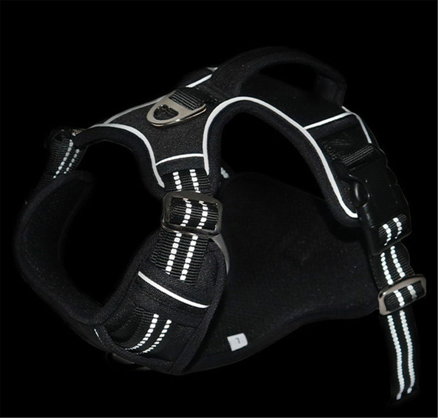 Durable Waterproof Pet Harness with Vertical Handle