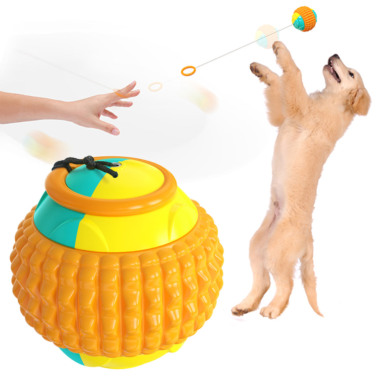 Dog Training Toy Balls for Golfers - Biting and Throwing