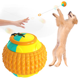 Dog Training Toy Balls for Golfers - Biting and Throwing