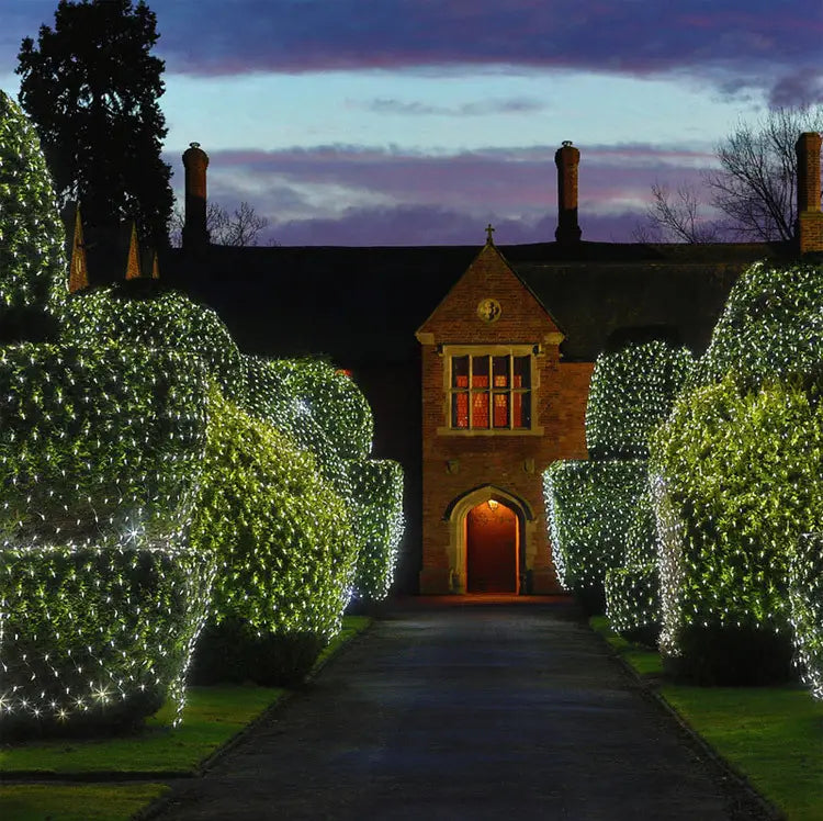 Decorative LED Lights