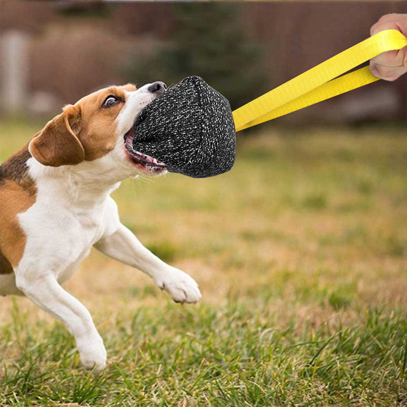 Interactive Dog Training Pillow for Chewing and Biting