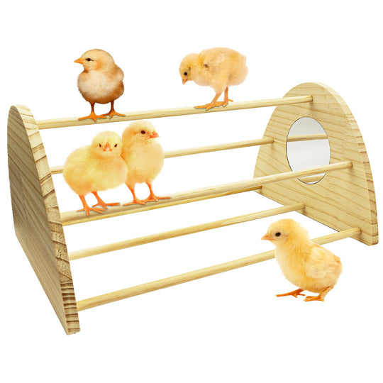 Chicken Perch with Mirror Chick Brooder Roost Roost Ramp Baby Chick Starter Kit Chick Toys in Your Brooder Box for Large Bird Parrot Macaw Hens (Big)