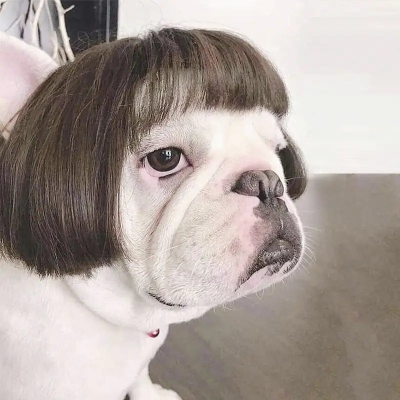 Toshomono Wig Style 6