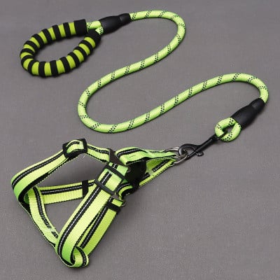Dog Leash and Chest Harness for Pet Supplies