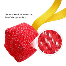 Interactive Dog Training Pillow for Chewing and Biting