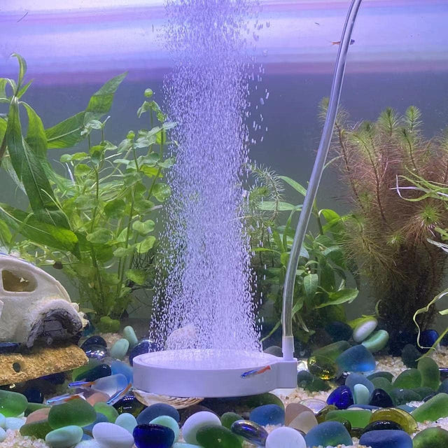 FRIRODSAY Fish Tank Bubbler Aquarium Air Stone Bubble Stone Betta Fish Tank Decor Accessories Small Oxygen Stone Quiet High Dissolving Oxygen Diffuser for Aquarium Fish Tank Hydroponic