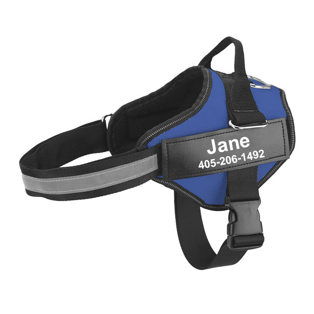 Dog Harness, Pet Chest Strap, Leash