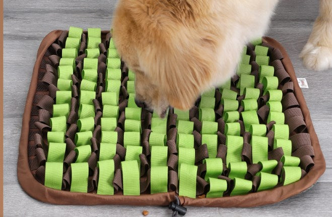 Upgrade Pet Puzzle Slow Feeder Snuffle Mat for Dogs