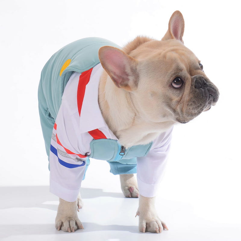 Cotton Pants for Teddy Dog Pets