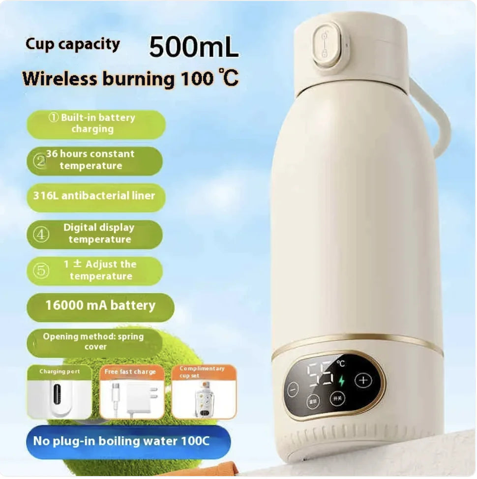 Portable Electric Kettle