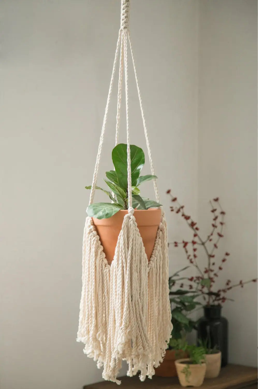 Hanging Basket Model 4