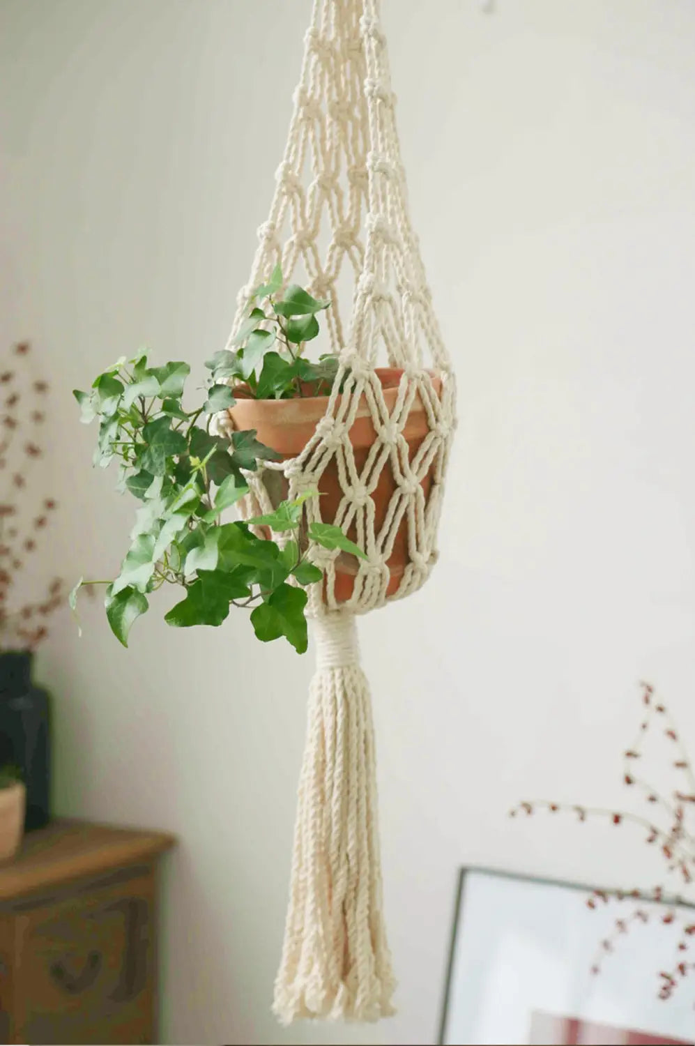 Hanging Basket Model 3