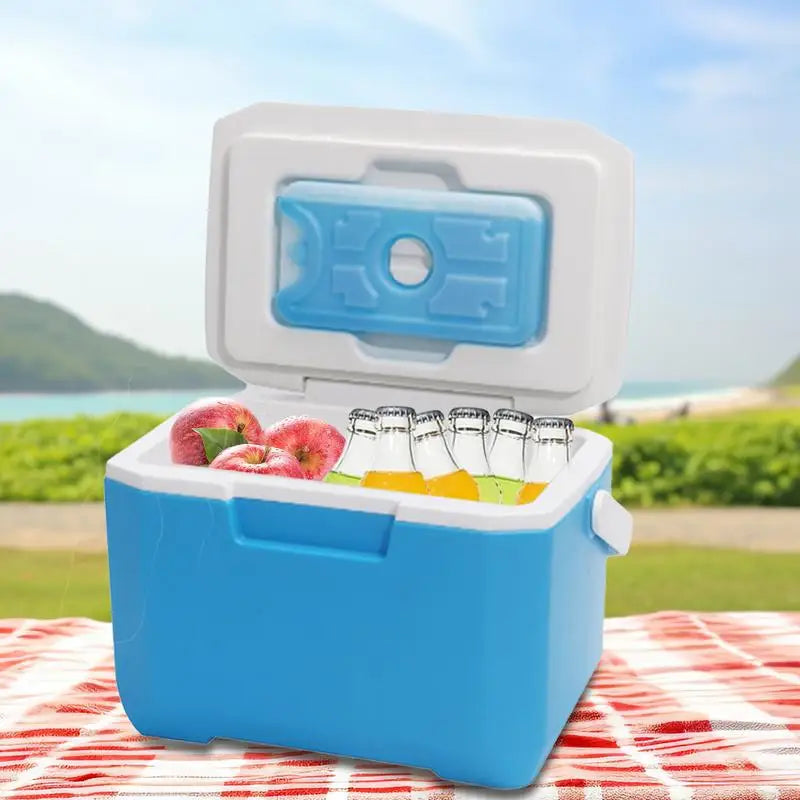 Small Hard Outdoor Cooler