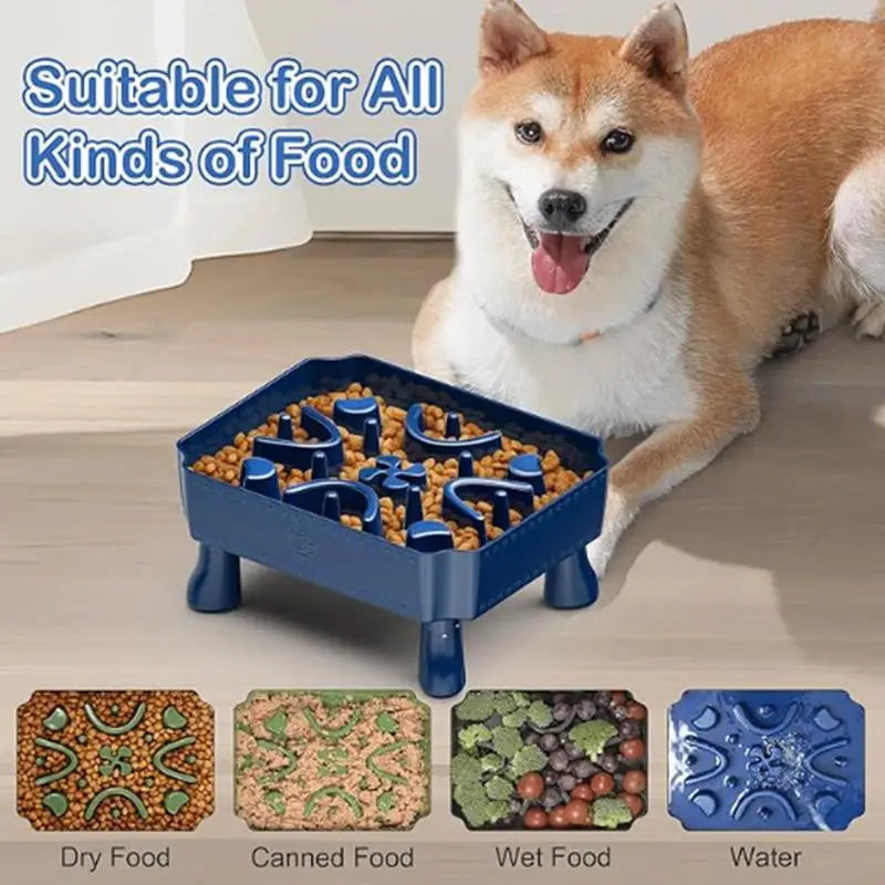 Pet Healthy Eating Slow Food Bowl