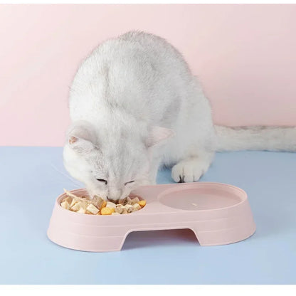 Pet Double Food Drinking Bowl