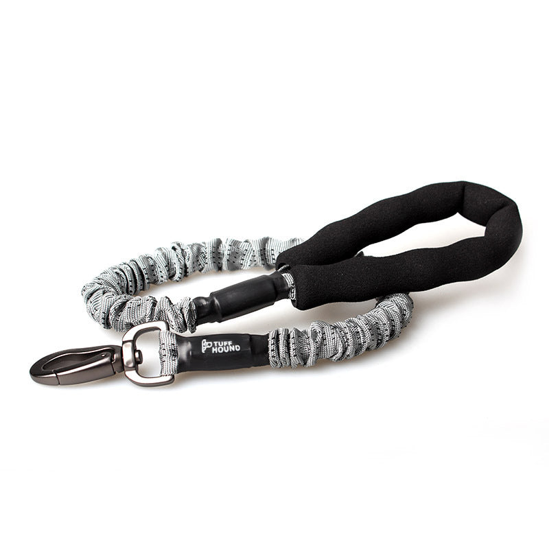 Dog Leash for Walking and Training