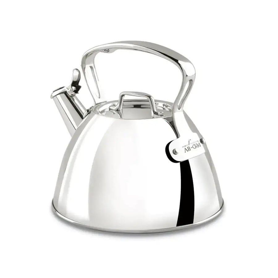 A sleek, stainless steel all-clad kettle with a polished finish and a distinctive black vertical stripe on its side.