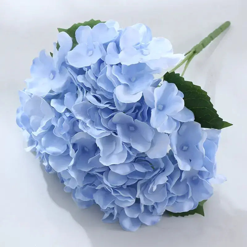 A delicate bouquet of light blue hydrangea flowers with soft, layered petals and green stems.