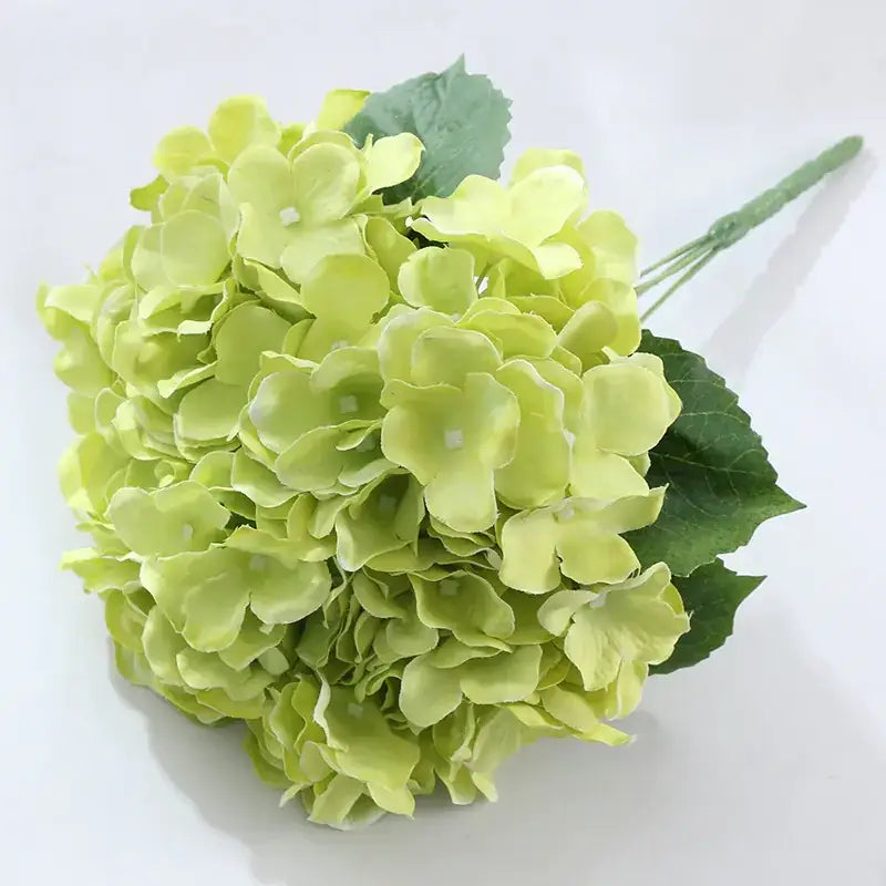 A delicate light green hydrangea bouquet with soft, clustered petals and dark green leaves.