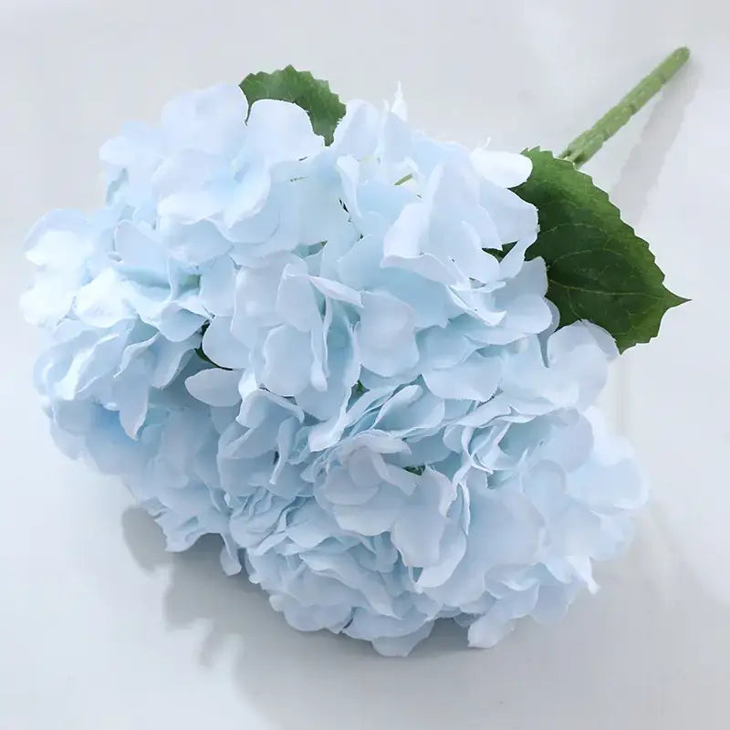 A delicate light blue hydrangea bouquet with soft, layered petals and vibrant green leaves.