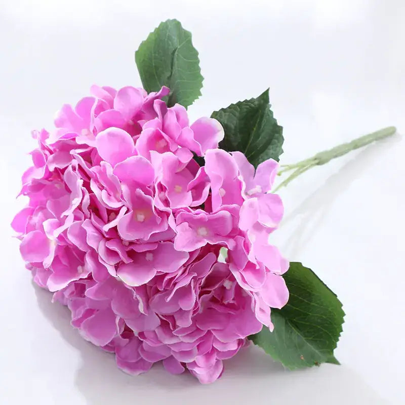 A vibrant pink hydrangea bouquet with lush, layered petals and glossy green leaves.