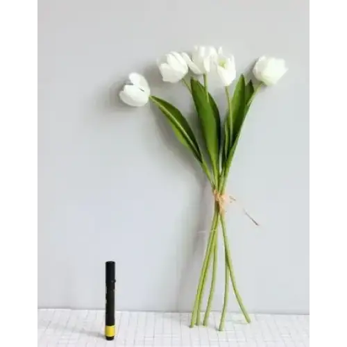 A delicate bouquet of white tulips with long green stems, tied together at the base with a thin brown string.