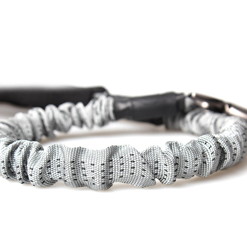 Dog Leash for Walking and Training