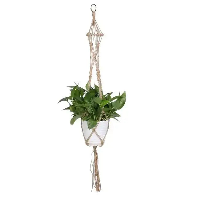 Beige macrame hanging plant hanger with a white ceramic pot and green leafy plant.