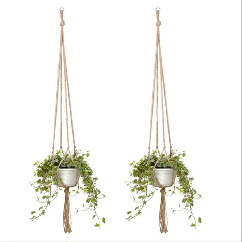 Natural fiber macrame plant hangers with white ceramic pots holding trailing green ivy.