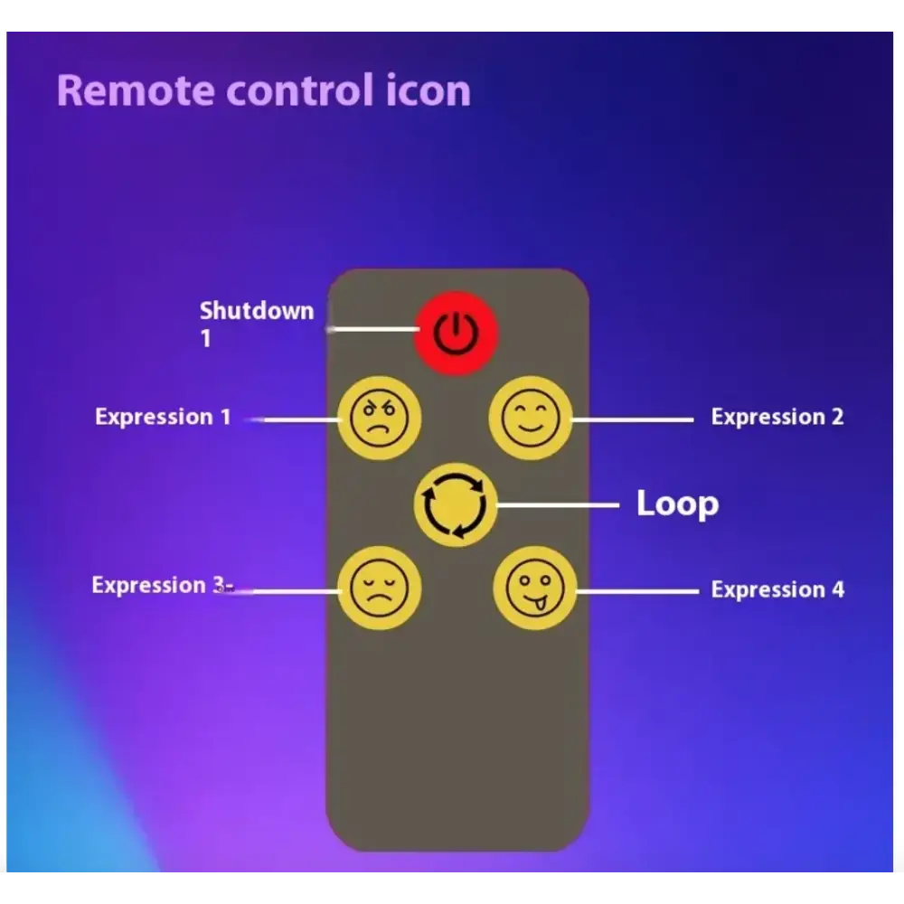 Car LED Gesture Display Light