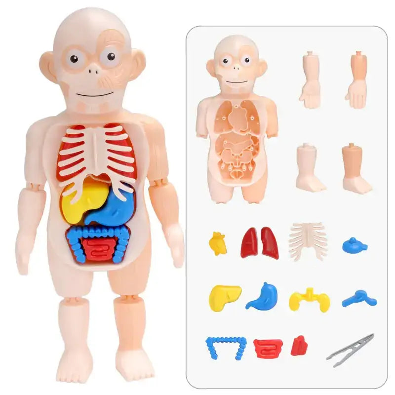 Children's Educational Science Assembly Toy Set