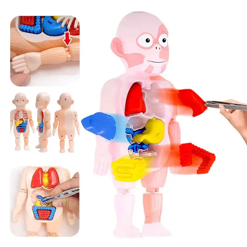 Children's Educational Science Assembly Toy Set