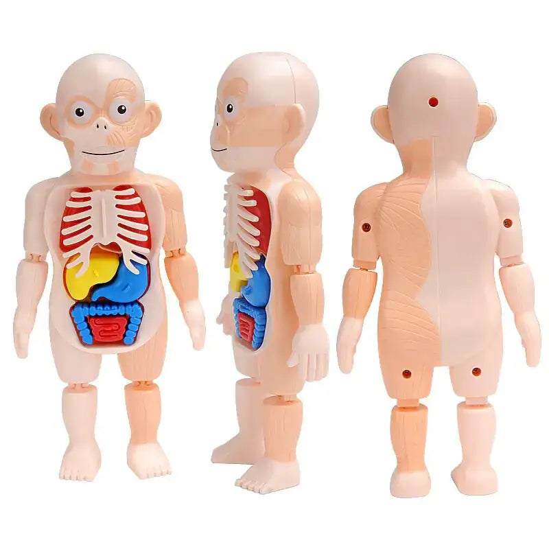 Children's Educational Science Assembly Toy Set