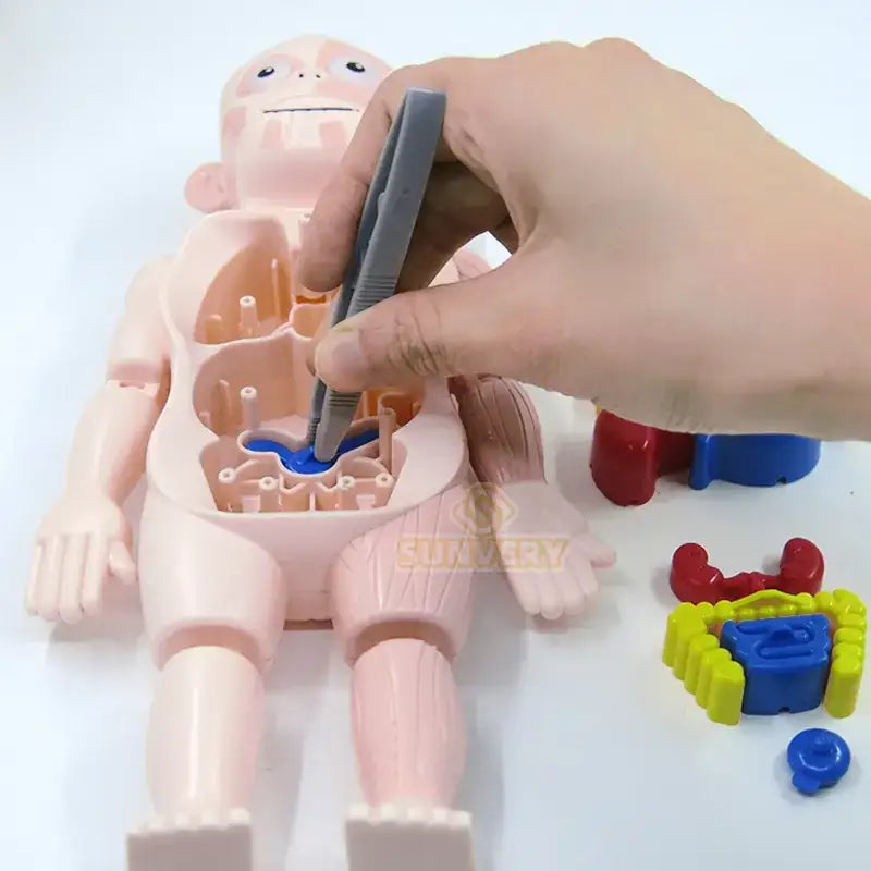 Children's Educational Science Assembly Toy Set