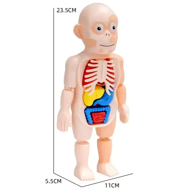 Children's Educational Science Assembly Toy Set