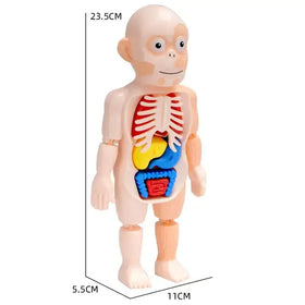Children's Educational Science Assembly Toy Set
