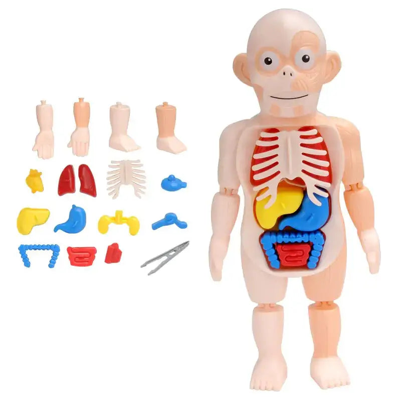 Children's Educational Science Assembly Toy Set