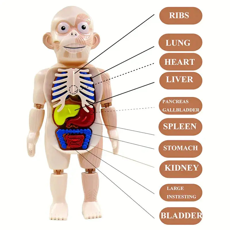 Children's Educational Science Assembly Toy Set