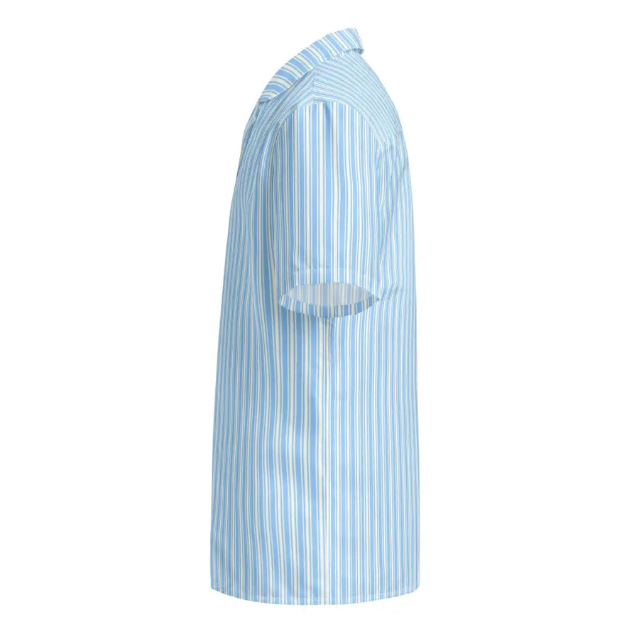 A light blue and white vertically striped short-sleeved button-up shirt.