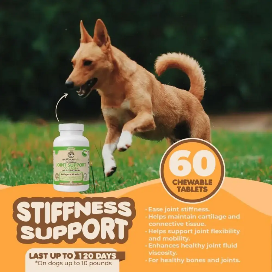 White bottle with green label containing 60 chewable joint support tablets for dogs.